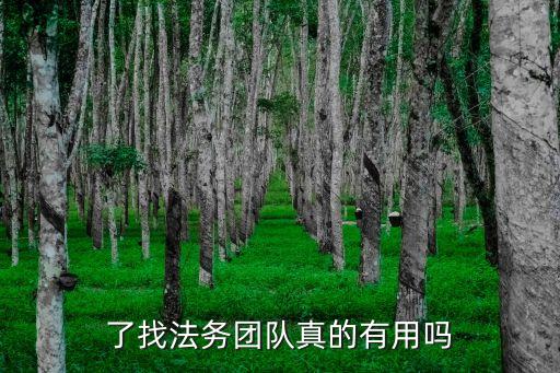 了找法务团队真的有用吗