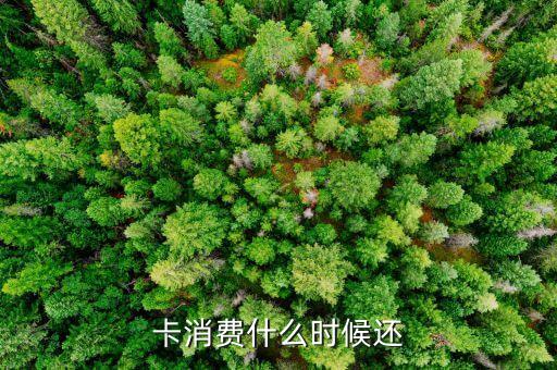 卡消费什么时候还