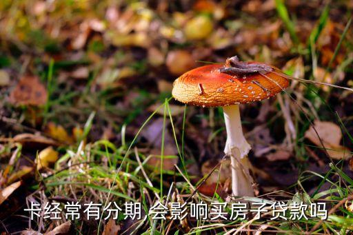 卡经常有分期,会影响买房子贷款吗