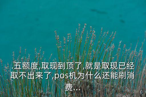 信用卡提取额度pos机,POS机可以查询信用卡额度吗