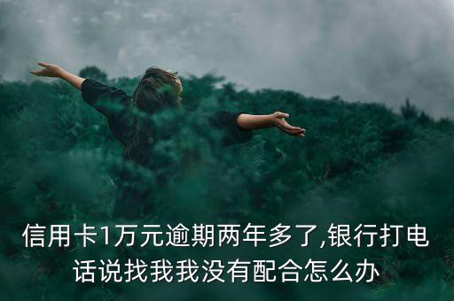 信用卡1万元逾期两年多了,银行打电话说找我我没有配合怎么办