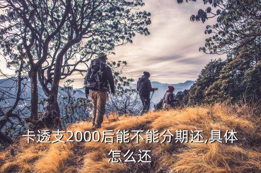 卡透支2000后能不能分期还,具体怎么还