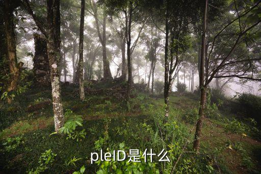 中国银行信用卡是哪个apple id,苹果中国银行信用卡