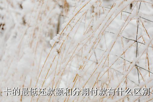 卡的最低还款额和分期付款有什么区别