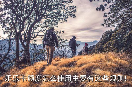 乐乐卡额度怎么使用主要有这些规则!