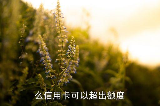 信用卡用超出额度,已超过信用额度你什么意思