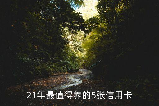 21年最值得养的5张信用卡