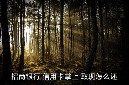 招商银行 信用卡掌上 取现怎么还