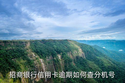 招商银行信用卡逾期如何查分机号