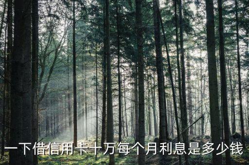 一下借信用卡十万每个月利息是多少钱