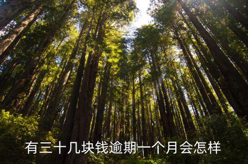 信用卡几十块钱逾期会怎样,信用卡逾期几十块钱