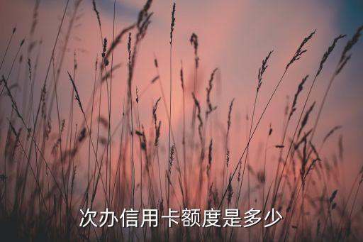 次办信用卡额度是多少
