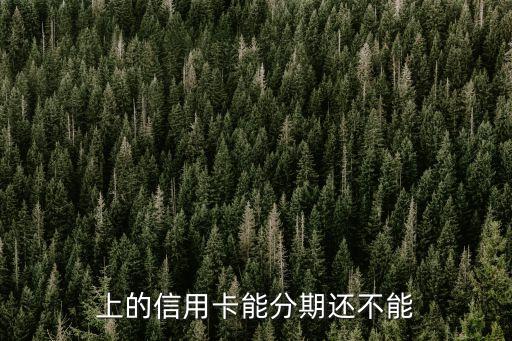 上的信用卡能分期还不能