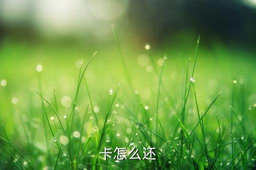 卡怎么还