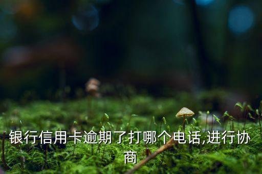 银行信用卡逾期了打哪个电话,进行协商