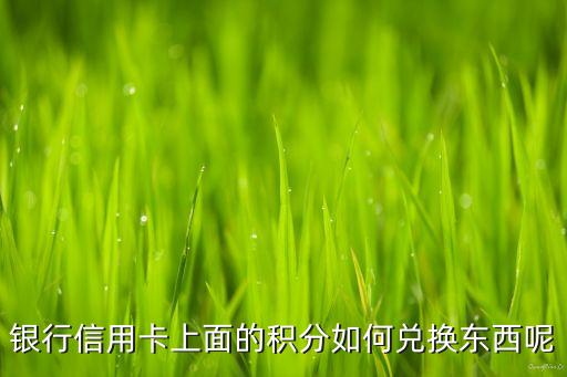 银行信用卡上面的积分如何兑换东西呢