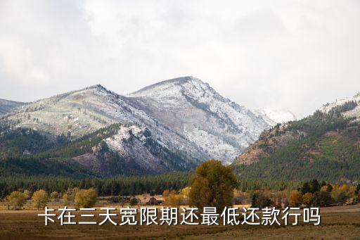 卡在三天宽限期还最低还款行吗