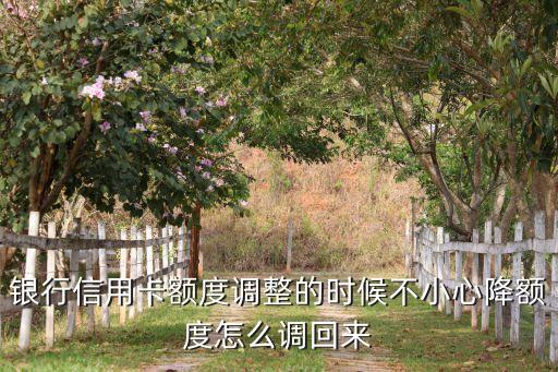 银行信用卡额度调整的时候不小心降额度怎么调回来