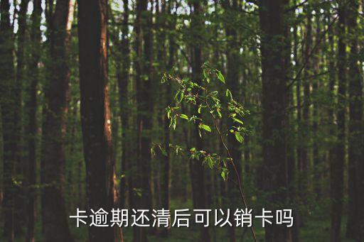 卡逾期还清后可以销卡吗