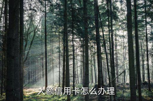 大额信用卡怎么办理