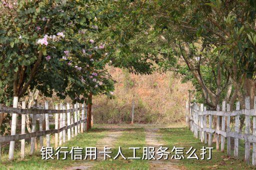 银行信用卡人工服务怎么打