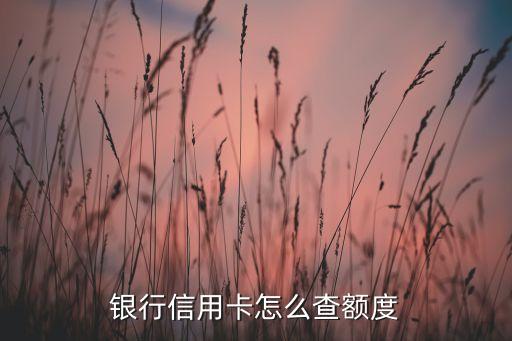 银行信用卡怎么查额度