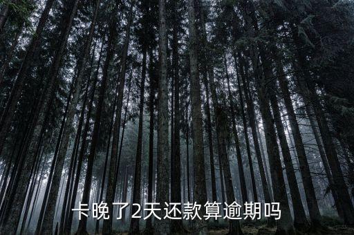 卡晚了2天还款算逾期吗
