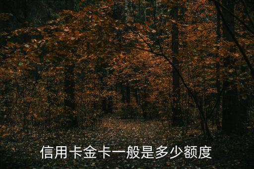 信用卡金卡一般是多少额度