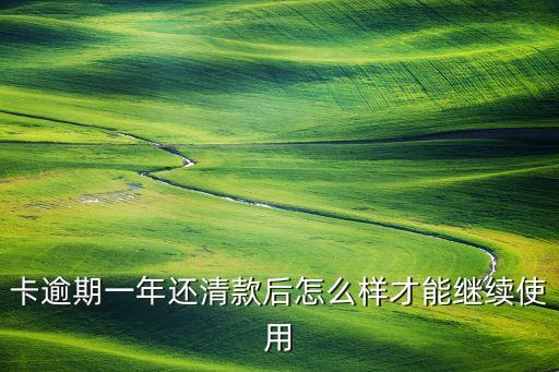 卡逾期一年还清款后怎么样才能继续使用