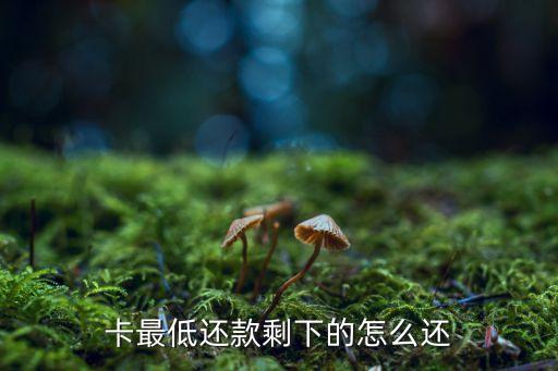 卡最低还款剩下的怎么还