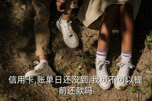 信用卡,账单日还没到,我可不可以提前还款吗