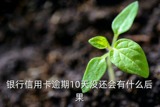 银行信用卡逾期10天没还会有什么后果
