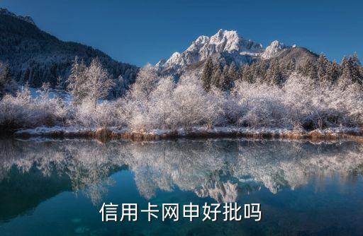 什么银行信用卡网申好申请,网上什么银行信用卡好办