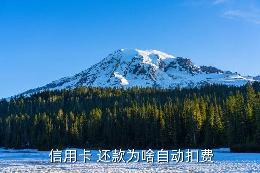  信用卡 还款为啥自动扣费