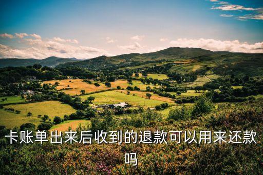 卡账单出来后收到的退款可以用来还款吗