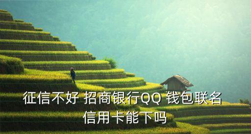 qq钱包申请招商信用卡,华为钱包申请的信用卡在哪看进度