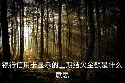 银行信用卡显示的上期结欠金额是什么意思