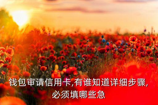 钱包审请信用卡,有谁知道详细步骤,必须填哪些急