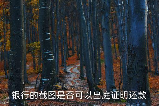 银行的截图是否可以出庭证明还款