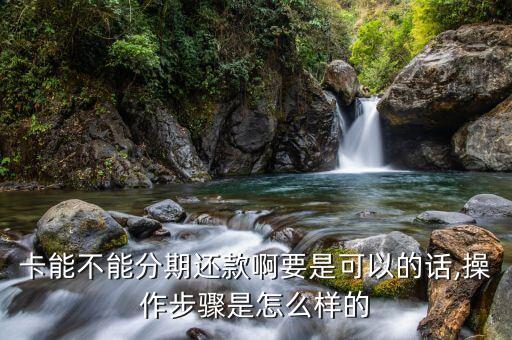 卡能不能分期还款啊要是可以的话,操作步骤是怎么样的