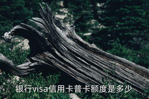 银行visa信用卡普卡额度是多少