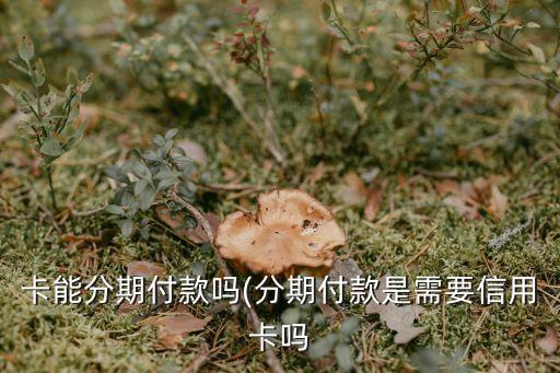 卡能分期付款吗(分期付款是需要信用卡吗