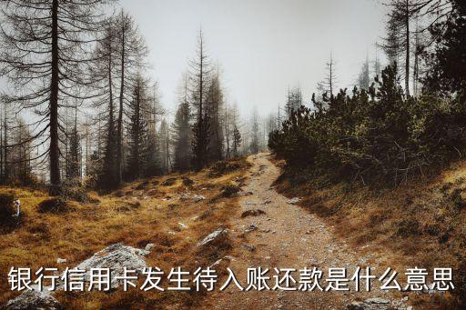 信用卡还款之后代入帐是什么意思,所谓的信用卡代理是什么意思