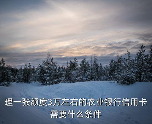 理一张额度3万左右的农业银行信用卡需要什么条件