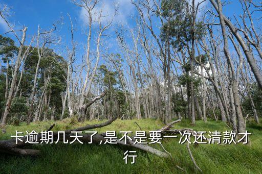 卡逾期几天了,是不是要一次还清款才行