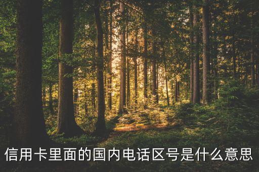 信用卡里面的国内电话区号是什么意思