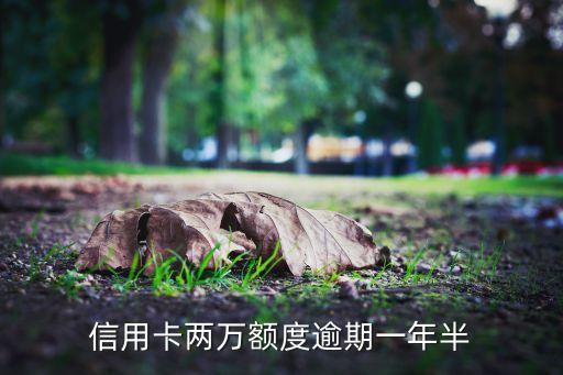 信用卡两万额度逾期一年半