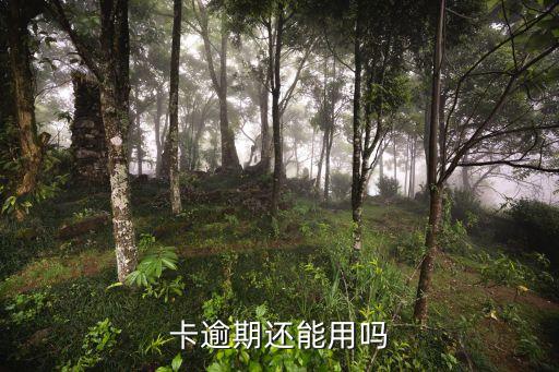 信用卡逾期了两月还能刷吗,信用卡逾期2个月怎么办?