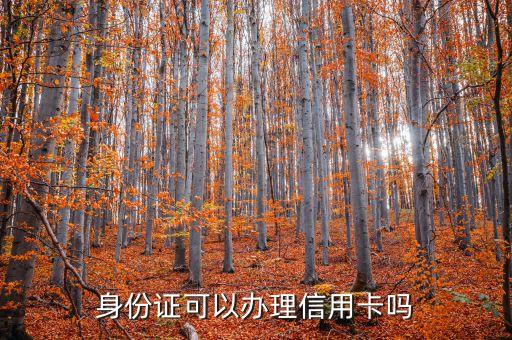 身份证可以办理信用卡吗