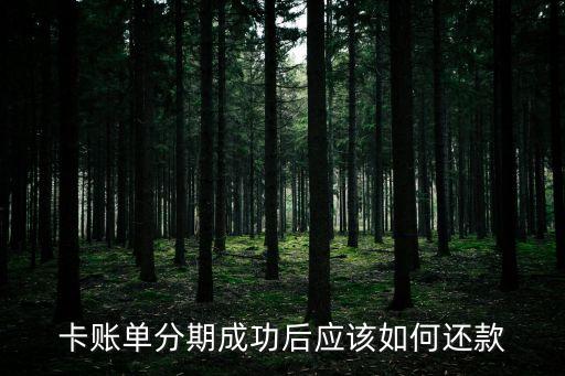 卡账单分期成功后应该如何还款